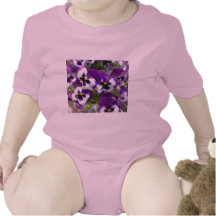 Pansy Infant Creeper