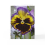 Pansy notecard