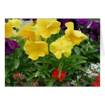 Pansy Pannier Greeting Cards