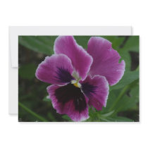 Pansy Pictures Invitation