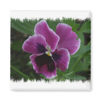 Pansy Pictures Square Magnet