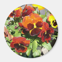 Pansy Planting Magnet