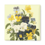 Pansy Violets Botanical Art magnets