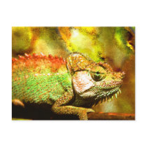 Panther chameleon Digital art