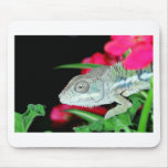 panther chameleon mousemat
