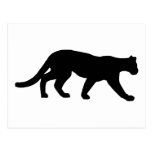 Panther - Cougar Post Cards