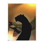 Panther Sunset Postcard