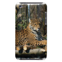 Panthera Jaguar  iTouch Case iPod Touch Case-Mate Case