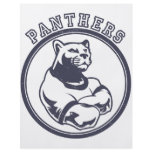 Panthers mascot full color flyer