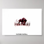 Panthers paintball  posters