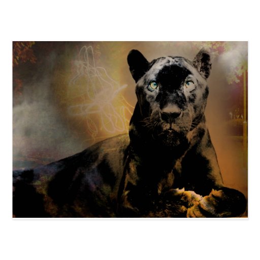 Panther's Pulse Postcards