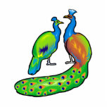 Paola & Paolo Peacock photo sculptures