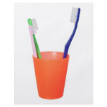 Papa toothbrush and little toothbrush flyers