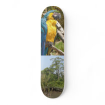 Papagei Skateboard Bretter