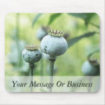 Papaver Somniferum Seed Heads Mouse Pad