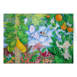 Papayas with Hummingbird cards