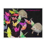 paper crane hedgehog postcard