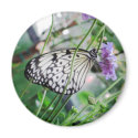 Paper Kite Butterfly & Flower Magnet