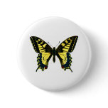 Papilio machaon buttons