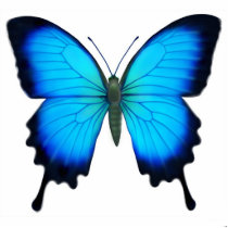 Papilio Ulysses Butterfly Ornament