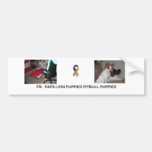 Papillion and Pitbulls Bumper Sticker