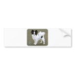 Papillon 8M062D-17 bumper stickers