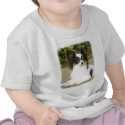 Papillon 9A025D-03 t-shirts