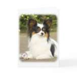 Papillon cards