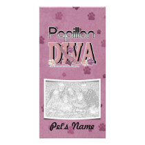 Papillon DIVA