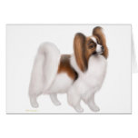 Papillon Dog Greeting Card