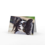 "Papillon" Dog Photo Greeting Card