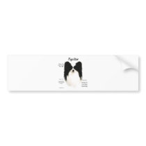 Papillon History Design