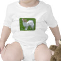 Papillon t-shirts
