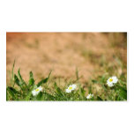 Paquerettes Profile Card business cards