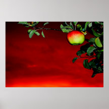Paradiesapfel Posterdrucke