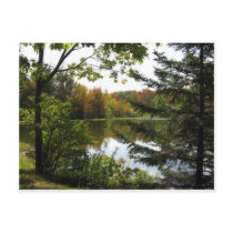 Paradise Acres 2 Postcard