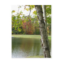 Paradise Acres 3 Postcard