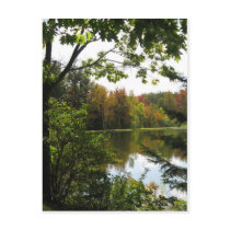 Paradise Acres Postcard