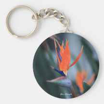 Paradise Bird Keychains