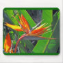 PARADISE BIRD MOUSE PADS