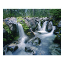 Paradise Creek flows down slopes of Mount