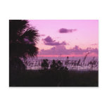 Paradise Day Ends Post Cards