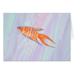 Paradise Fish. Greeting Cards
