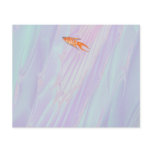Paradise Fish Painting with Shell Fractal. Custom flyers