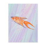 Paradise Fish Painting with Shell Fractal. Custom postcards