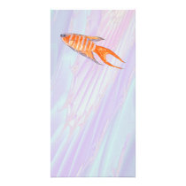 Paradise Fish. Photo Greeting Card