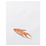 Paradise Fish Watercolor Painting. Custom. flyers
