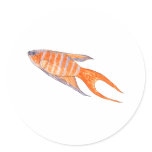 Paradise Fish Watercolor Painting. Custom. stickers