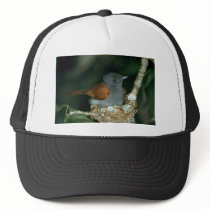Paradise Flycatcher Hat