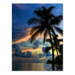 Paradise... is where you are! postcards